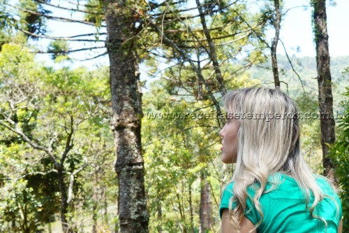 Monte Verde - conforto, romance e sabor na serra