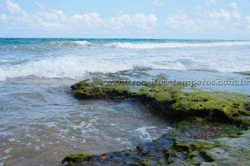 As belezas naturais de Porto de Galinhas