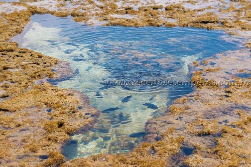 As belezas naturais de Porto de Galinhas