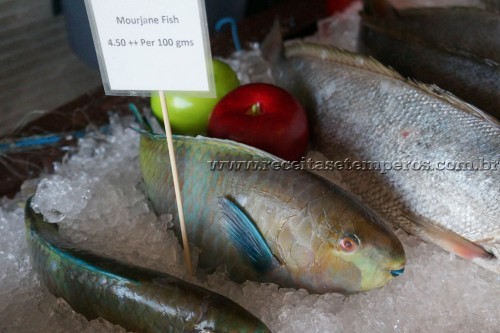 Destino: AQABA - Jordânia