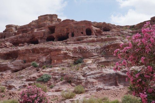 Destino: PETRA - Jordânia