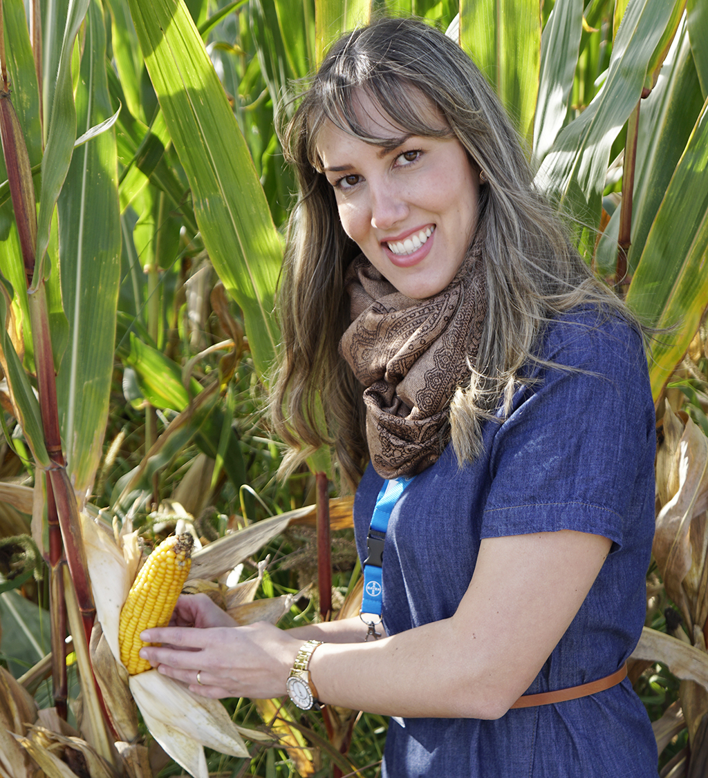 Agricultura e Sustentabilidade