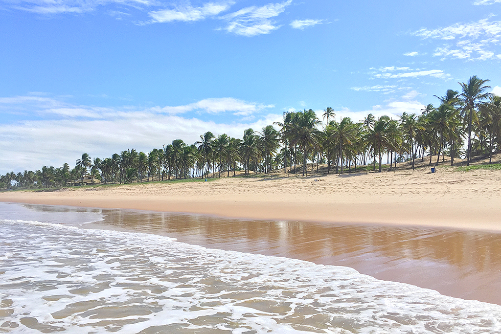 Bahia: Grand Palladium Imbassaí