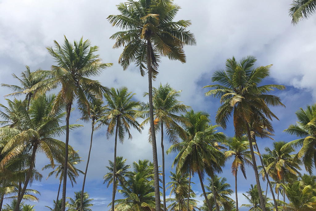 Bahia: Grand Palladium Imbassaí